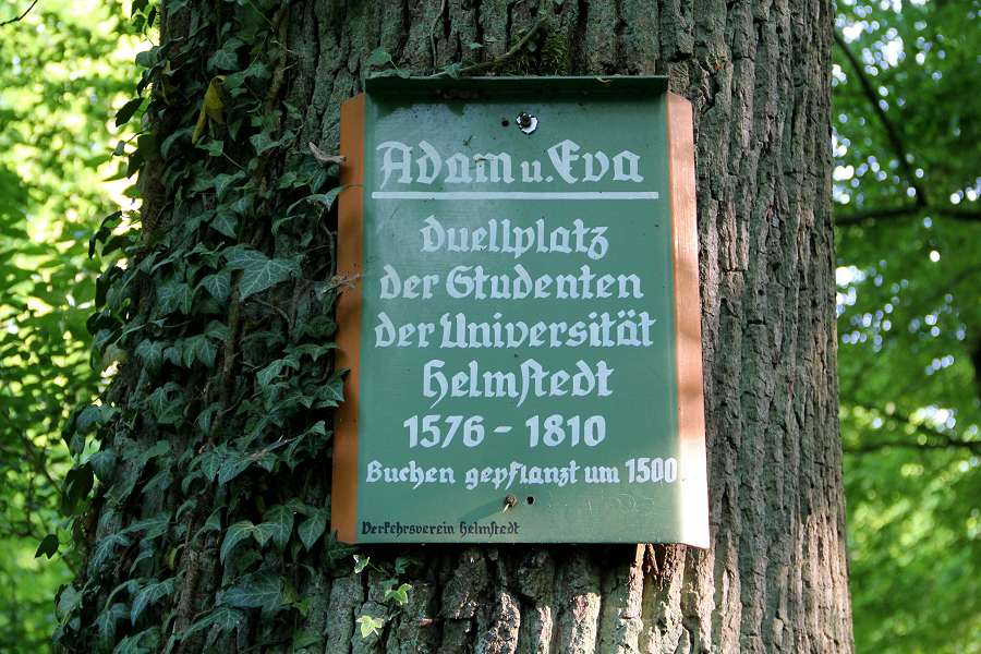 Seite anzeigen...